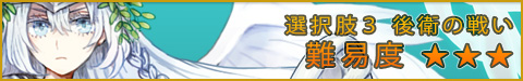 ●選択肢3:後衛の戦い ★★★